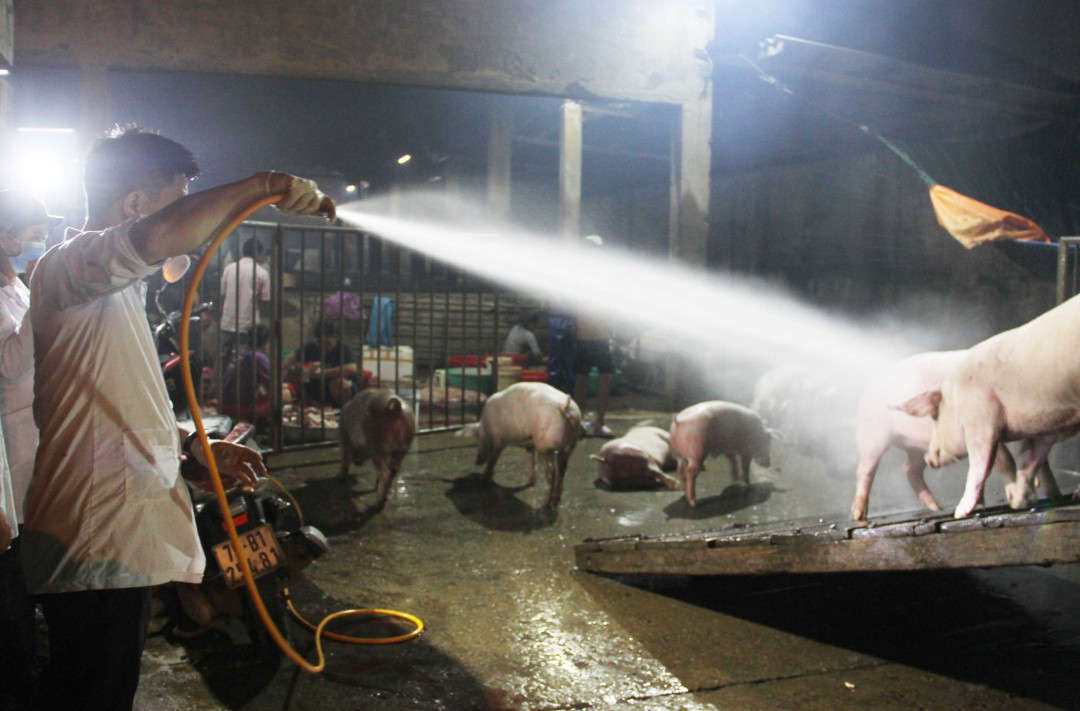 Cán bộ thú y thực hiện tiêu độc, khử trùng đàn lợn trước khi vào lò mổ tại chợ đầu mối Phú Hậu
