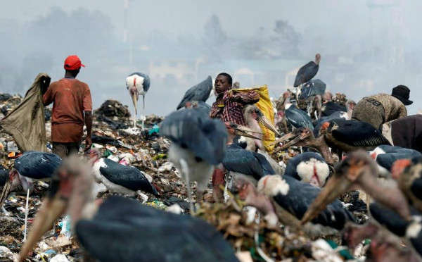 Những người nhặt rác đi ngang qua những con cò Marabou khi họ thu gom các vật liệu nhựa có thể tái chế tại bãi rác Dandora ở ngoại ô Nairobi, Kenya vào ngày 25/8/2017. Ảnh: Thomas Mukoya