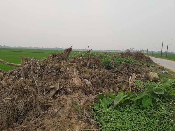 Đơn vị thi công đổ ngổn ngang rác thải nạo vét từ sông Trà Giang nào là xà bần, rác rưởi, gốc cây dừa, thân rẽ cây dừa… tràn lan chận lên cả mương tưới tiêu