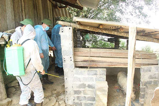 Cán bộ thú y huyện Thuận Châu thực hiện phun tiêu độc, khử trùng khu chăn nuôi của các hộ dân.