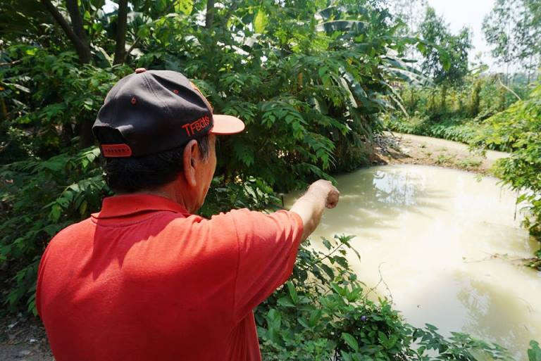 Ông Lê Văn Sơn, Chủ tịch UBND quận Cẩm Lệ, cho biết đã chỉ đạo Phòng Tài nguyên & Môi trường, UBND phường Hòa Thọ Tây, phối hợp cùng các cơ quan chức năng lấy mẫu nước để kiểm tra