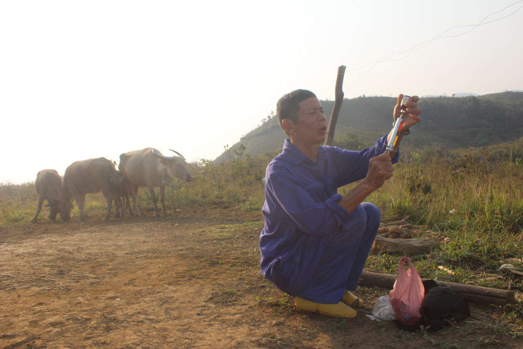 Bác sỹ thú y, Cà Văn Tấu chuẩn bị thuốc tiêm cho đàn trâu ở đỉnh Pu Ca