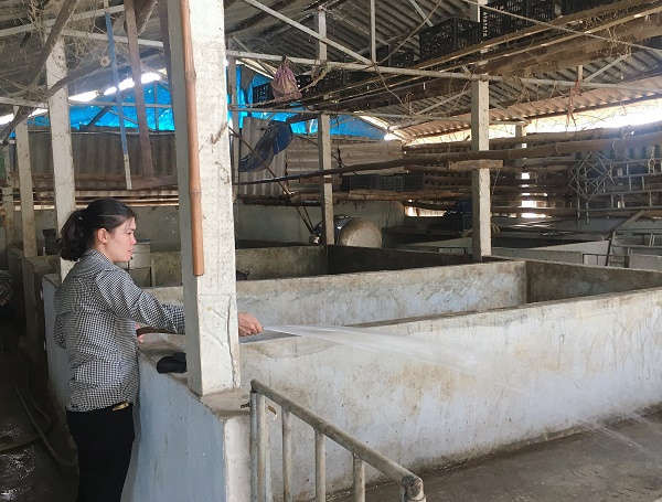  Tích cực vệ sinh chuồng trại chăn nuôi ngăn ngừa dịch bệnh, đảm bảo vệ sinh môi trường