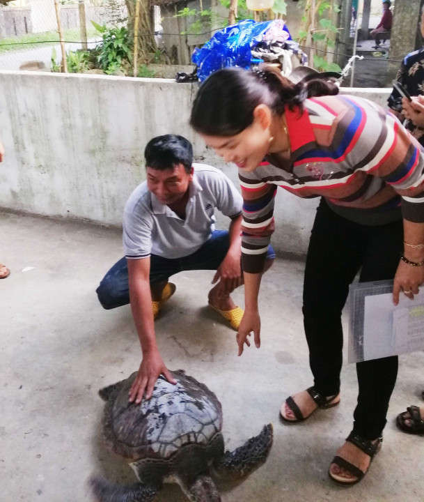 Cá thể rùa 18kg vừa được người dân phát hiện