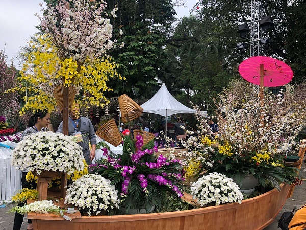 Sau 3 năm tổ chức, Lễ hội hoa anh đào Nhật Bản đã trở thành một điểm đến mang đậm tính văn hóa