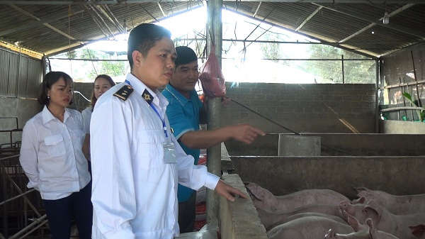 Cán bộ Trung tâm dịch vụ nông nghiệp huyện Mai Sơn hướng dẫn nhân dân thực hiện các biện pháp phòng chống dịch tả lợn Châu Phi