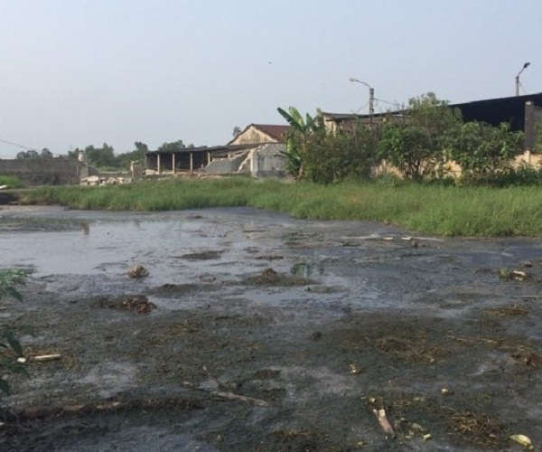 Chất thải của lò mổ cũ chưa được xử lý tại xóm 5, xã Nghi Phú gây ảnh hưởng đến môi trường sống của người dân xung quanh
