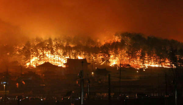 Ngọn lửa trong một vụ cháy rừng ở DongHae, Hàn Quốc vào ngày 5/4/2019