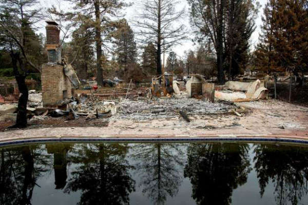 Cây cối phản chiếu trong một bể bơi bên ngoài Thiên đường của Erica Hail, California, ngôi nhà bị đốt cháy trong vụ cháy rừng Camp Fire