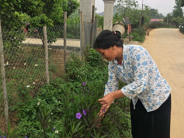 Đường bản Văn Tân được người dân trồng hoa 2 bên đường, vừa để làm đẹp, vừa để người dân có trách nhiệm hơn trong giữ gìn vệ sinh môi trường
