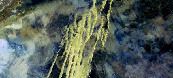 Hình ảnh vệ tinh của Cơ quan Hàng không và Vũ trụ Mỹ (NASA) cho thấy một vùng phù sa rộng lớn đang nở rộ trên khung cảnh giữa dãy núi Kunlun và Altun tạo thành biên giới phía Nam của sa mạc Taklamakan ở Trung Quốc