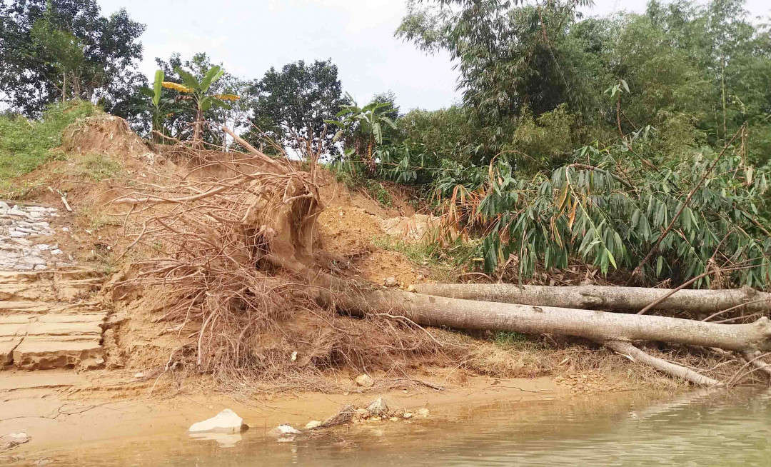 Những dòng sông tại Huế đang sạt lở do nạn khai thác cát diễn ra rầm rộ