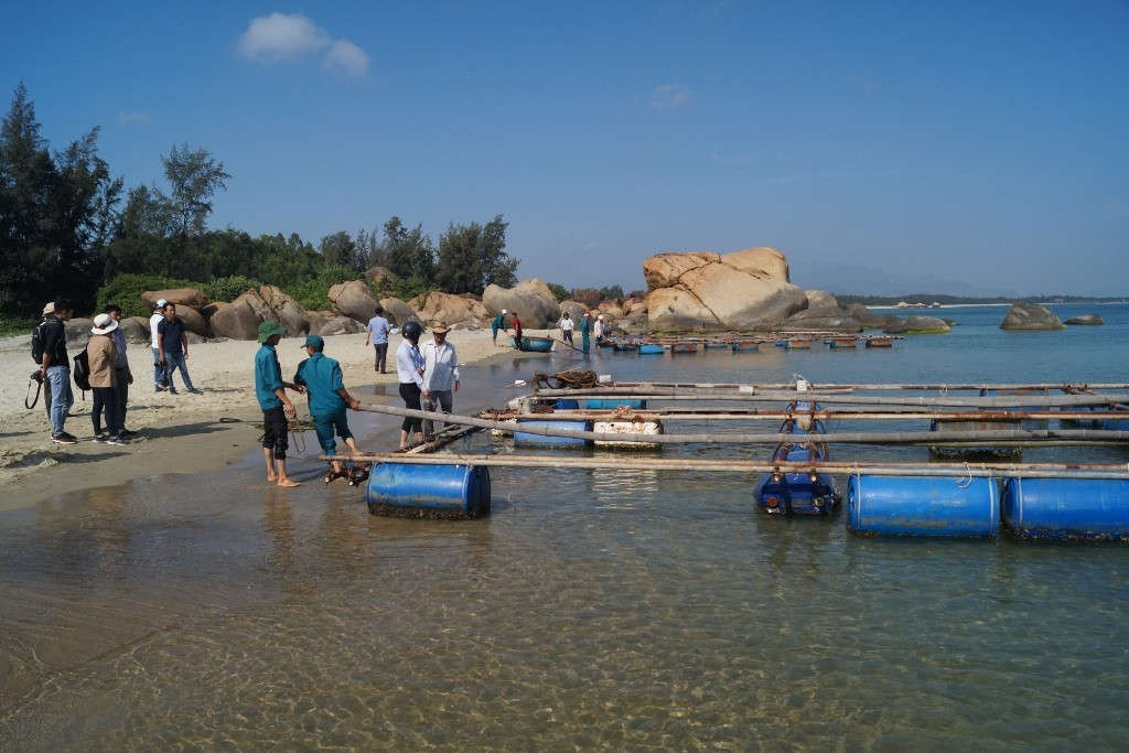 Các hộ dân xã Bình Đông tiến hành tháo dỡ lồng bè, chấm dứt việc nuôi cá bớp trên vùng biển KKT Dung Quất