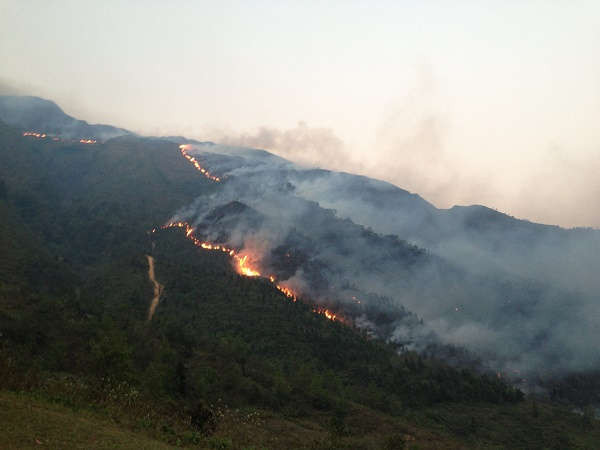 Yên Bái đang tích cực triển khai nhiều biện pháp cấp bách phòng chống cháy rừng 