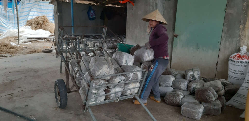 2- Bà Trần Thị Bốn đang chất những bánh rơm vào xe để chuẩn bị cho vào trại nấm