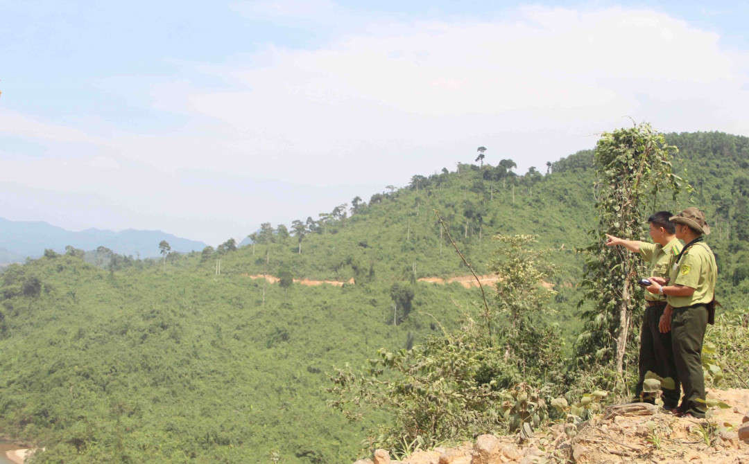 Thừa Thiên Huế tiếp nhận hơn 47 tỷ đồng tài trợ dự án “Dự trữ các-bon và bảo tồn đa dạng sinh học rừng”