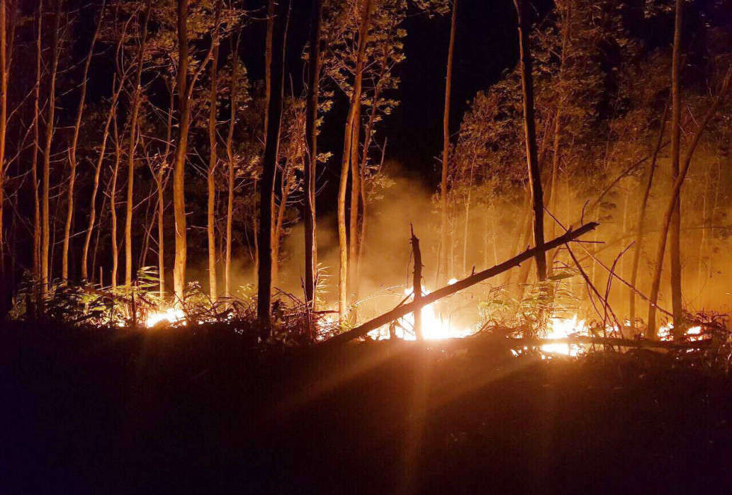 Một vụ cháy rừng xảy ra ở thị trấn Lăng Cô (huyện Phú Lộc) trong cuối tháng 2 vừa qua