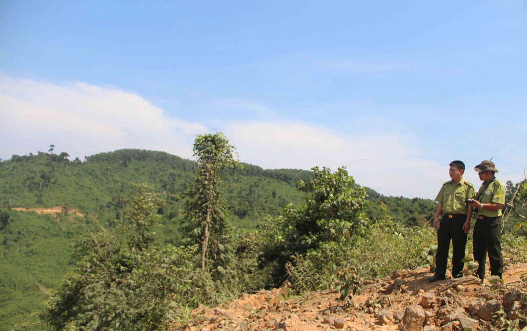 Kiểm lâm Thừa Thiên Huế tuần tra rừng