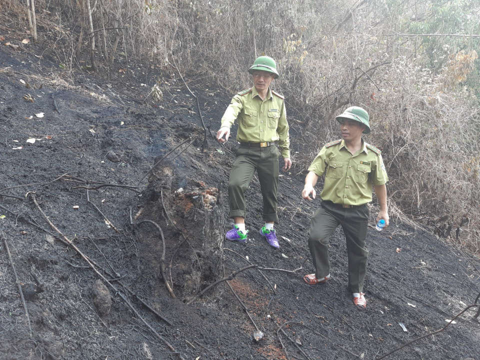 Kiểm tra vụ cháy rừng tại địa bàn xã Thanh Minh, TP. Điện Biên Phủ.