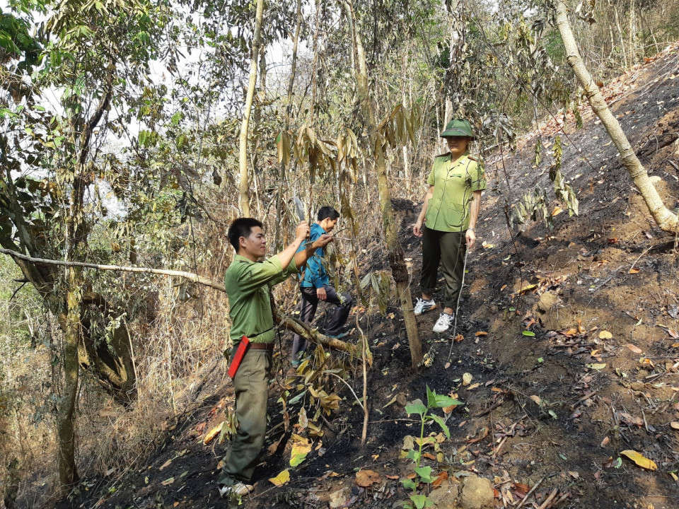 Do nắng nóng kéo dài, nguy cơ cháy rừng trên địa bàn tỉnh Điện Biên ở cấp độ rất nguy hiểm.
