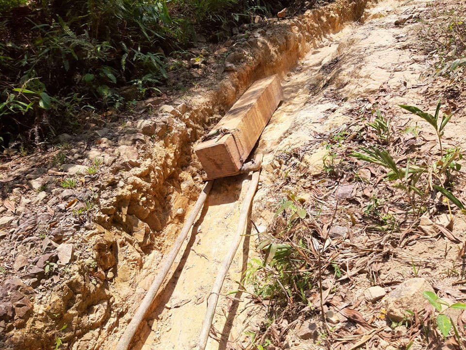 Dấu vết kéo gỗ ra khỏi rừng hằn sâu dưới đất nhưng chính quyền không hay biết