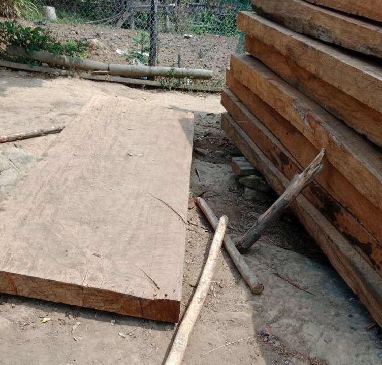 Phát hiện khoảng 20 tấm sập gỗ tại bản Phì Cao, xã Phình Giàng, huyện Điện Biên Đông.