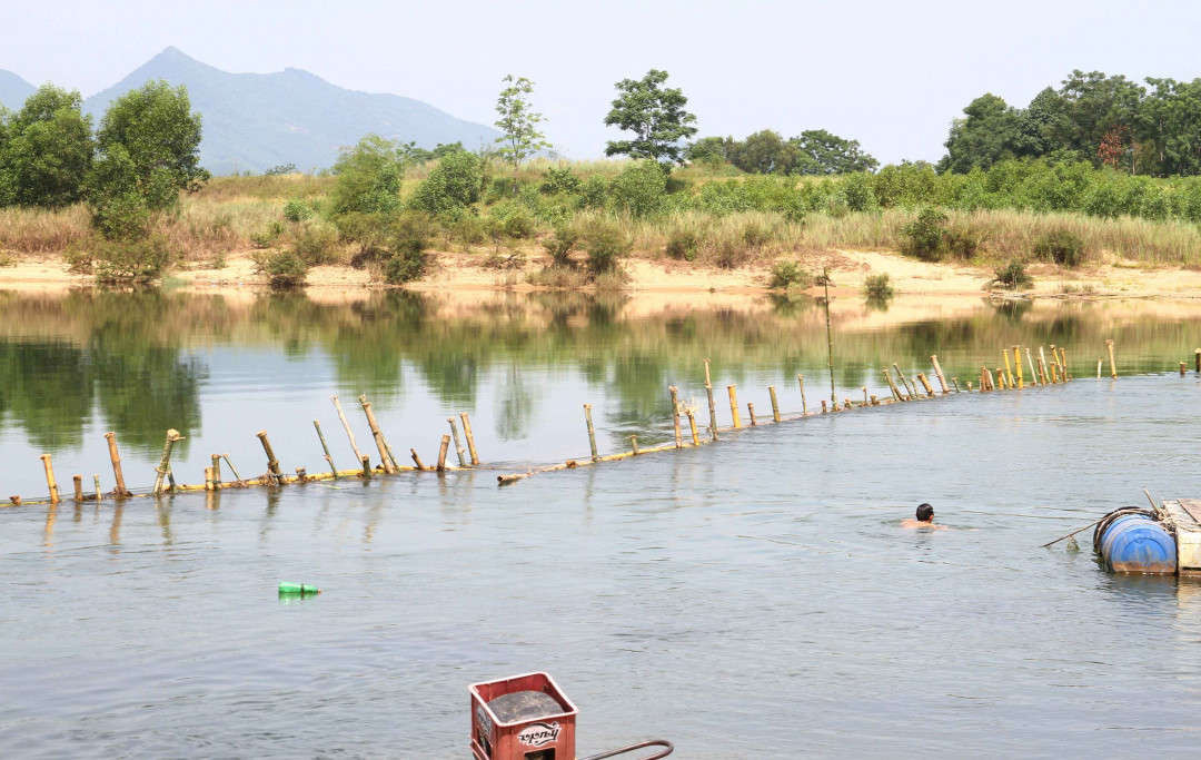 Cọc tre được người dân đóng trên sông Bồ