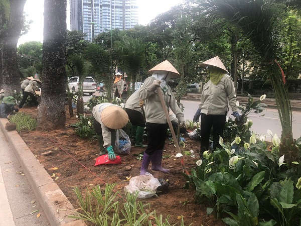 Đang được các công nhân của Công ty CP tư vấn đầu tư xây dựng Hà Thành phủ xanh bằng những cây hoa, cây cảnh...