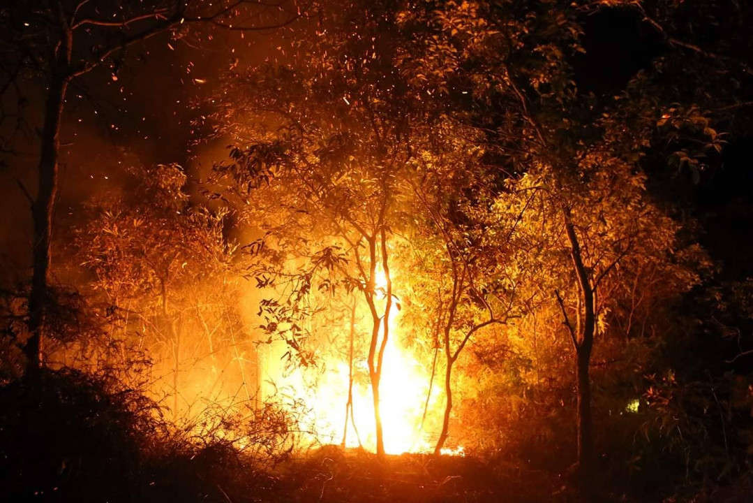 Đám cháy xảy ra tại cánh rừng sản xuất đã được giao cho cộng đồng dân cư đội 15, 16, xã Noong Luống quản lý.