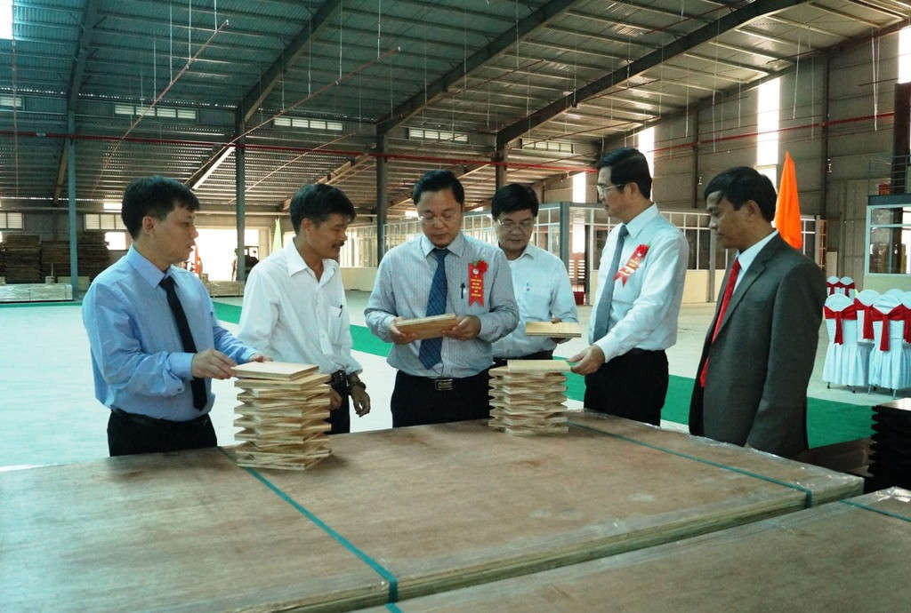 Gỗ lớn được chế biến tại nhà máy gỗ MDF Quảng Nam góp phần hiện thực hóa giấc mơ cánh rừng gỗ lớn