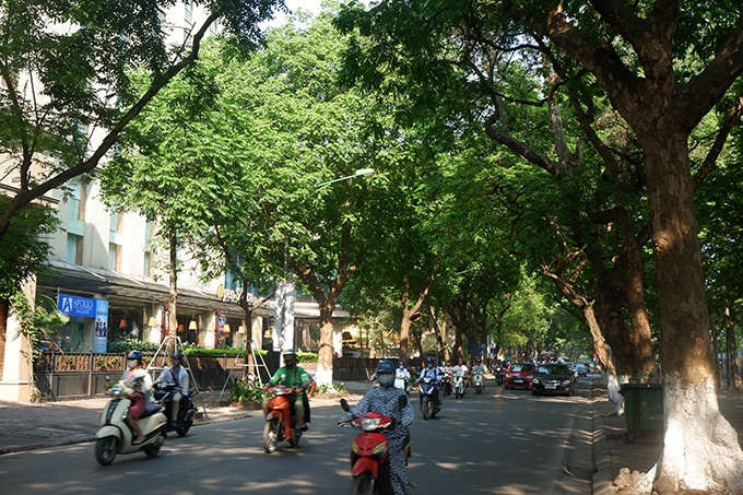 Hà Nội: Những con đường mát như điều hòa bất chấp nắng nóng