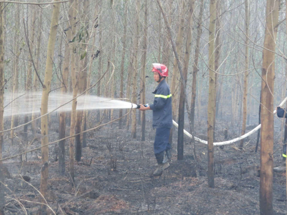 lực lượng chữa cháy rừng