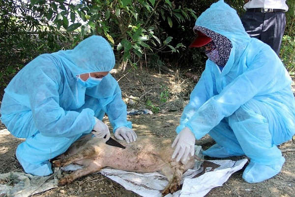 Cơ quan chức năng lấy mẫu bệnh phẩm tại xã Nghi Hoa (huyện Nghi Lộc)
