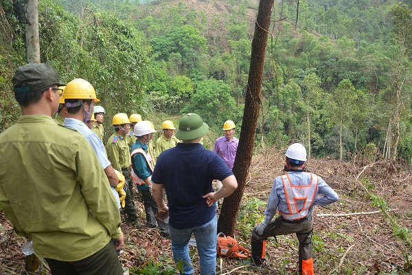 Các cán bộ, nhân viên rừng phòng hộ Lang Chánh, Thanh Hóa tại buổi thực hành về khai thác tác động thấp theo tiêu chuẩn FSC.