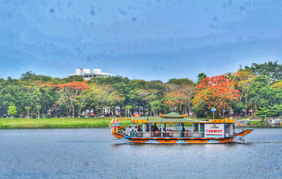 Chiếc thuyền rồng đi trên sông Hương ngang qua hàng cây phượng đỏ, giúp du khách thỏa mình nhìn ngắm sắc hoa