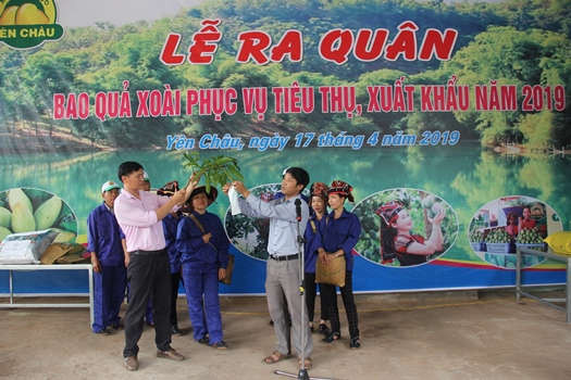 huyện Yên Châu tổ chức Lễ ra quân bao quả xoài phục vụ tiêu thụ, xuất khẩu năm 2019.