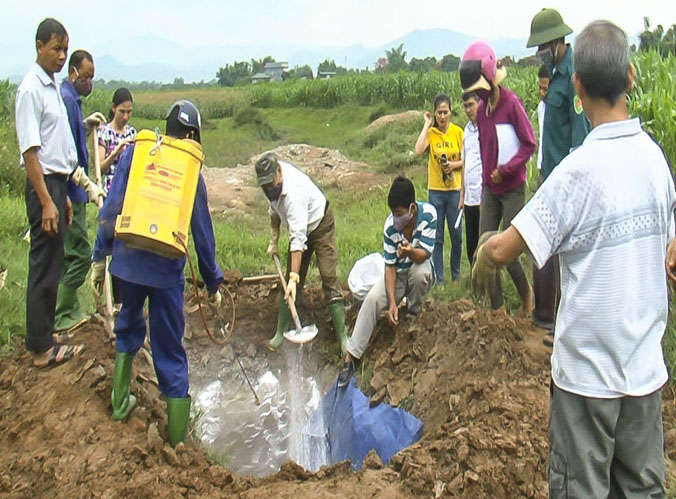 Hơn 7.000 con lonje=ư của tỉnh Điện Biên bị tiêu hủy