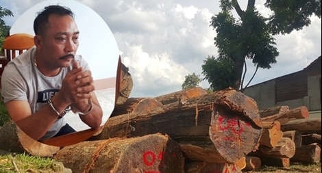 Hàng loạt cán bộ bị truy tố trong vụ trùm gỗ lậu Phượng “râu”