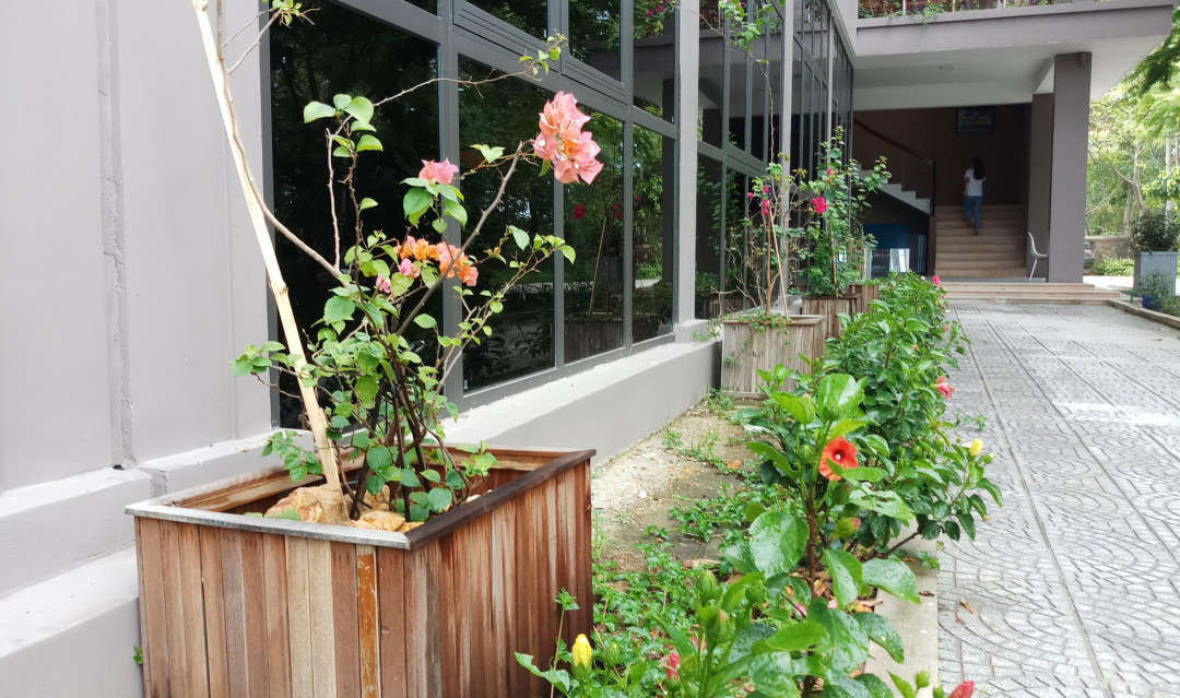 Những mô hình trồng hoa tại trường Đại học Phú Xuân cũng rất thân thiện