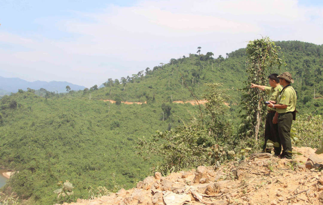 Thừa Thiên Huế đã chi trả hơn 130 tỷ đồng dịch vụ môi trường rừng