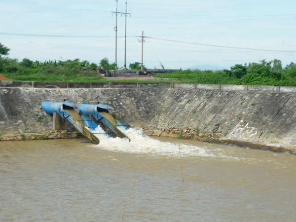 Nhà máy nước Cầu Đỏ đang đối mặt với tình trạng nhiễm mặn ngày càng tăng cao