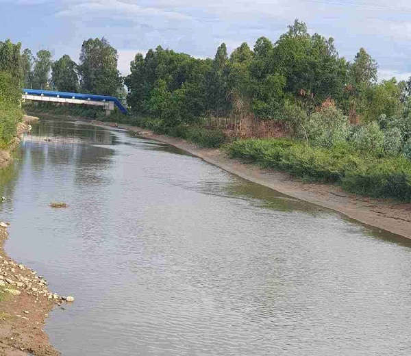 Một khúc sông Đào, nơi đang xảy ra tranh cãi về việc có đủ tiêu chuẩn sử dụng làm nguồn nước thô sản xuất nước sạch trên địa bàn