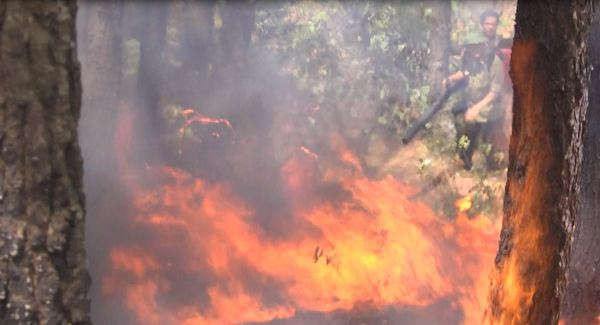 Hiện trường vụ cháy rừng xẩy ra trên địa bàn huyện Đức Thọ (Ảnh: Ngọc Thanh)