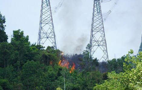 Đặc biệt, rất nhiều ý kiến chú tâm đến chuyện các vụ cháy rừng đều nằm dưới lưới điện 500kV
