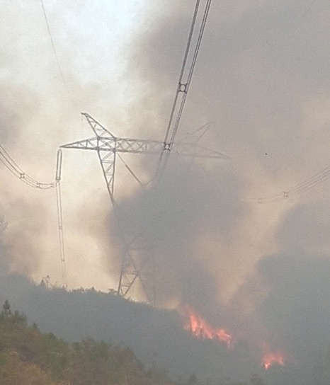 Đặc biệt nhất là vụ cháy nhiều hec ta rừng lại khu vực liên giới giữa xã Hòa Nhơn, xã Hòa Sơn, huyện Hòa Vang