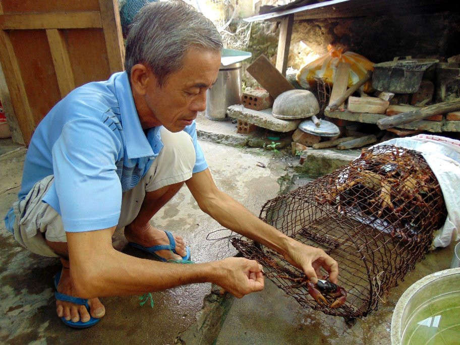 Người dân Cù Lao Chàm tham gia “đồng quản lý” khai thác và bảo tồn cua đá