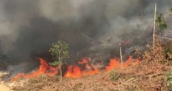 Xảy ra cháy rừng nghiên trọng tại Quảng Bình