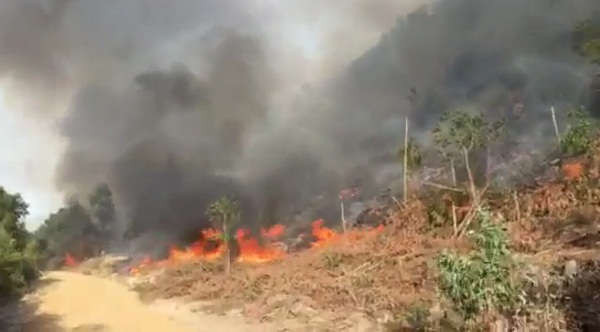 Vụ cháy rừng xảy ra vào 10h sáng ngày 30/6. Đến hơn 20h tối cùng ngày vẫn chưa thể dập tắt ngọn lửa