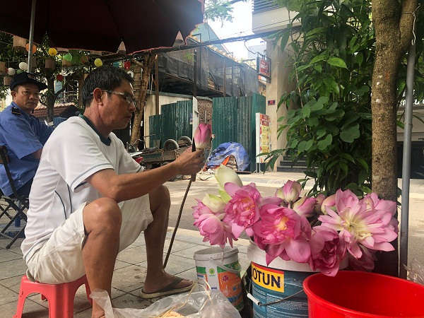 Ông Nguyễn Đức Thành – Ngõ 35 Trịnh Công Sơn, Tây Hồ Hà Nội cho biết năm nào vào mùa sen nở ông cũng mua về để ướt và thưởng thức hương vị trà sen