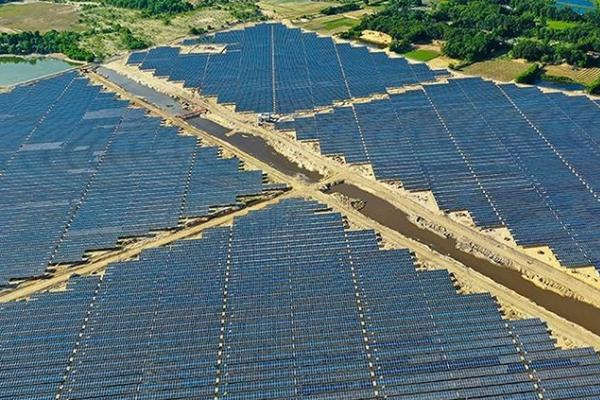 Nhà máy điện mặt trời Cẩm Hòa có công suất 50 MWp